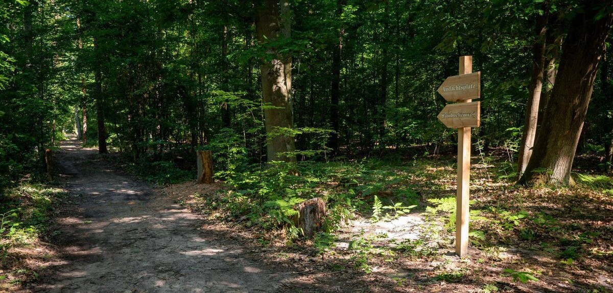 Bilder FriedWald Oberkrämer