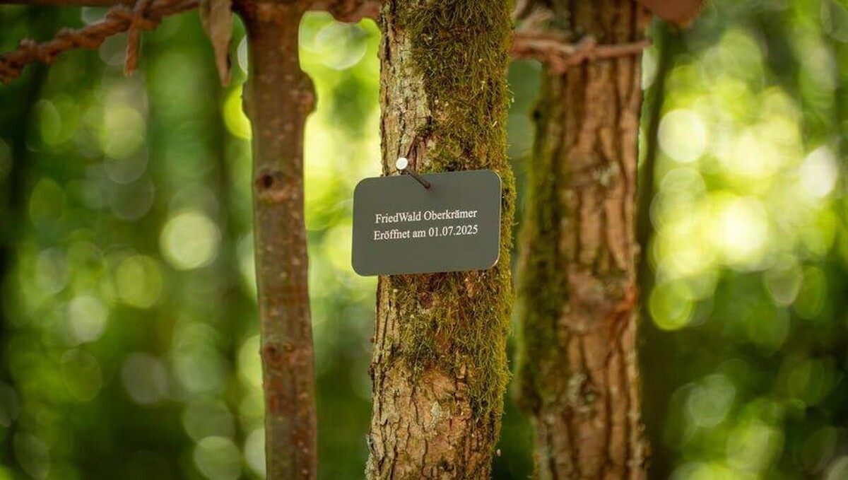 Bilder FriedWald Oberkrämer