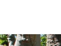 Website Screenshot Restaurant Spindler