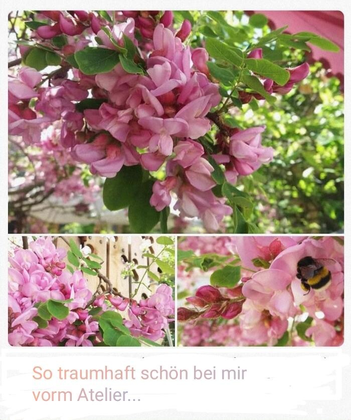 Bilder GlasKunst & SchmuckDesign