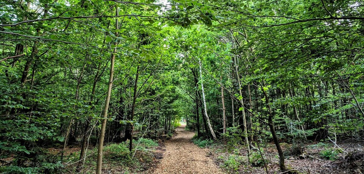 Bilder FriedWald Friolzheim
