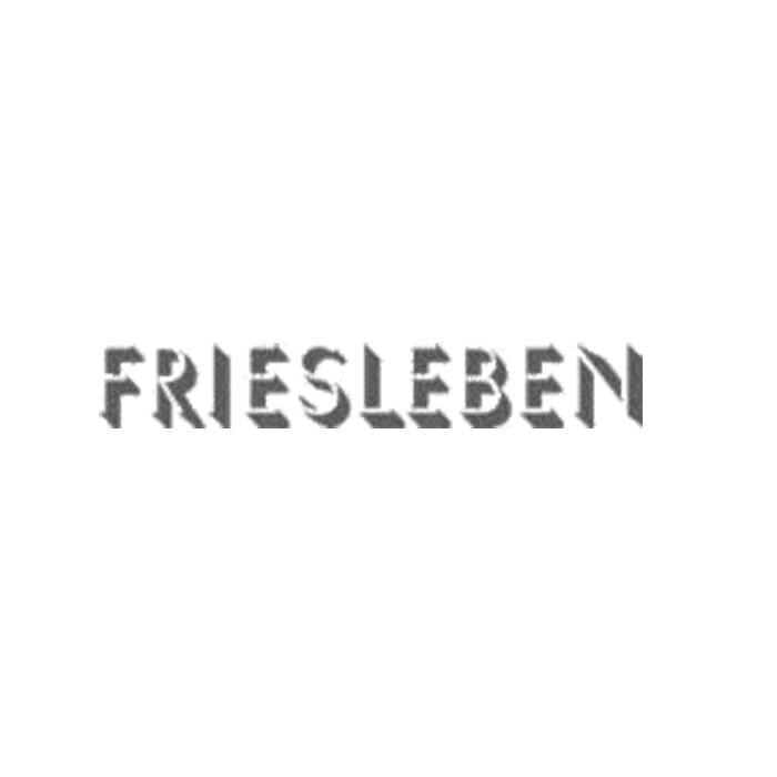 Friesleben Verwaltungs GmbH Logo
