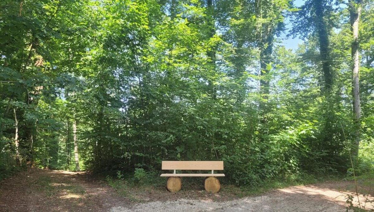 Bilder FriedWald Starzach