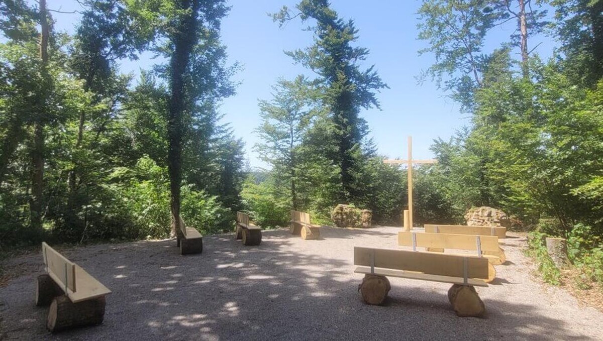Bilder FriedWald Starzach