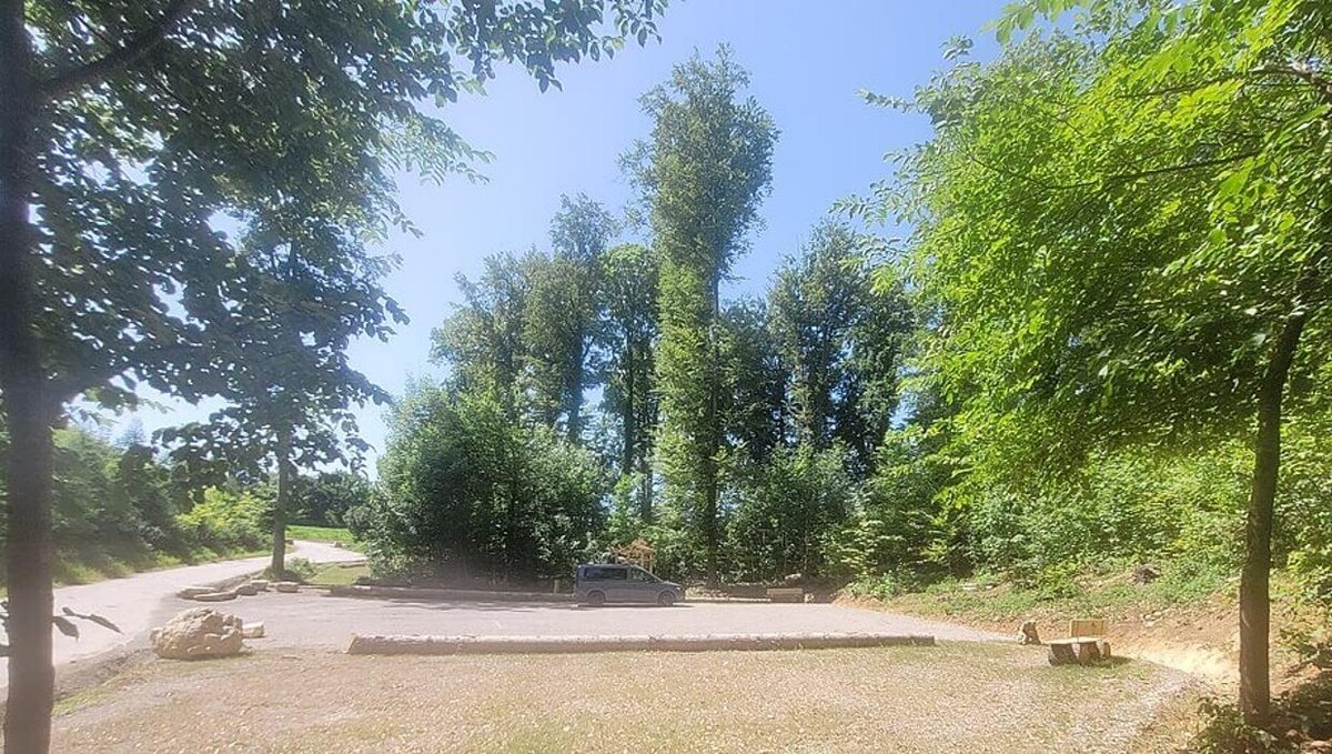 Bilder FriedWald Starzach