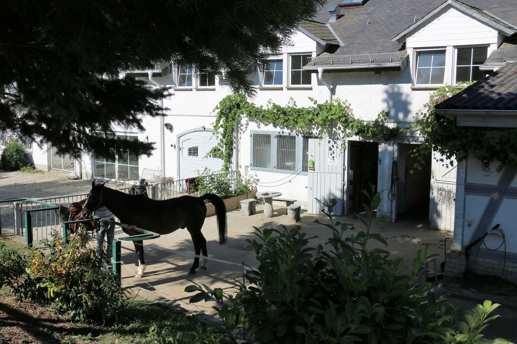 Bilder Reitschule Lautlos