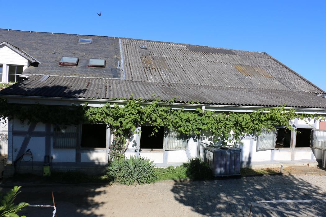 Bilder Reitschule Lautlos