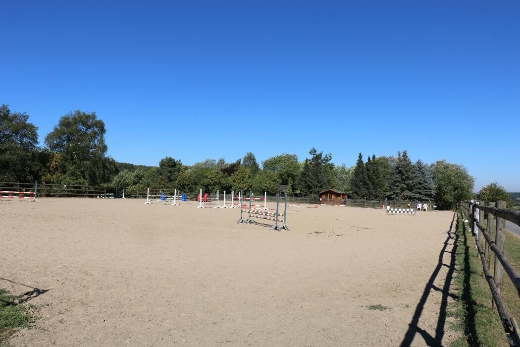 Bilder Reitschule Lautlos