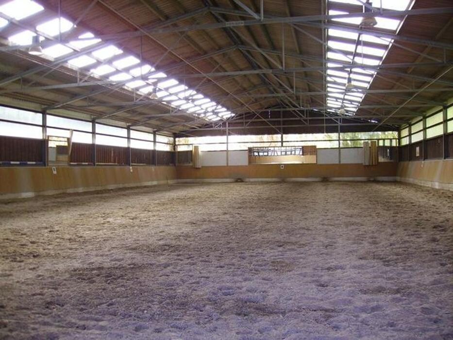 Bilder Reitschule Lautlos