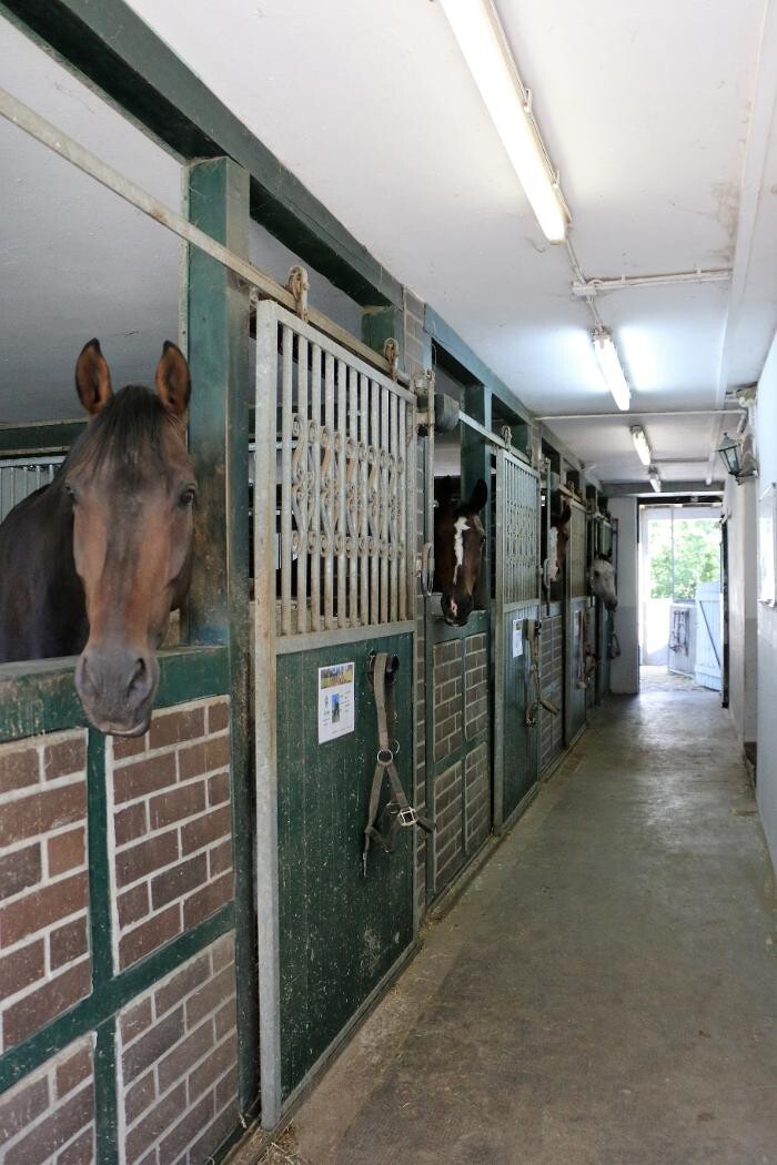 Bilder Reitschule Lautlos