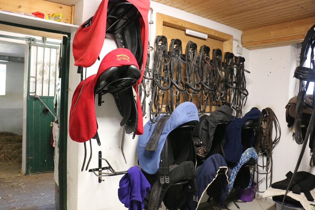 Bilder Reitschule Lautlos