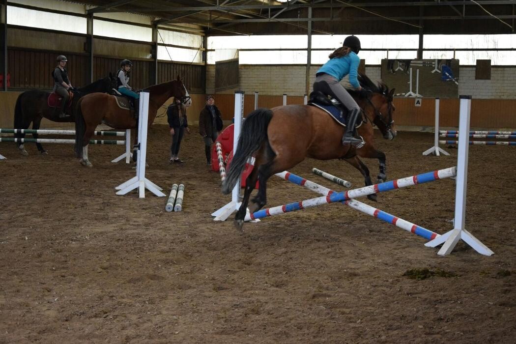 Bilder Reitschule Lautlos