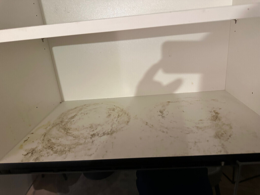Bilder HafenGlanz