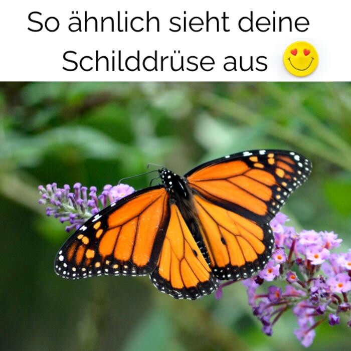Bilder JR gesund leben - Janett Reißmann