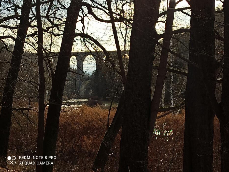 Bilder Pension \"Zum Hirsch\"