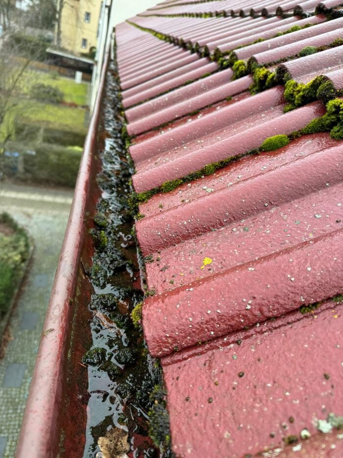 Bilder Merja Reinigung (Gebäudereinigung Merja)