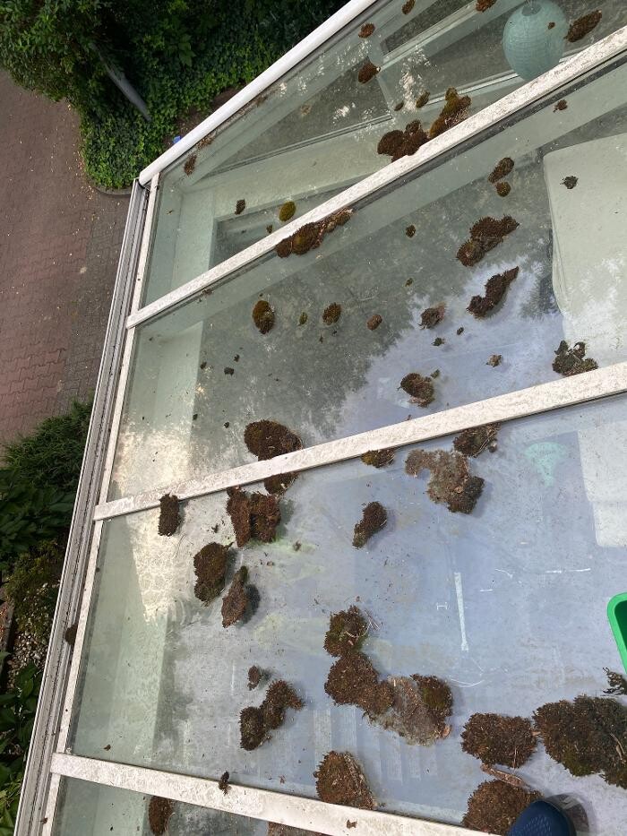 Bilder Merja Reinigung (Gebäudereinigung Merja)