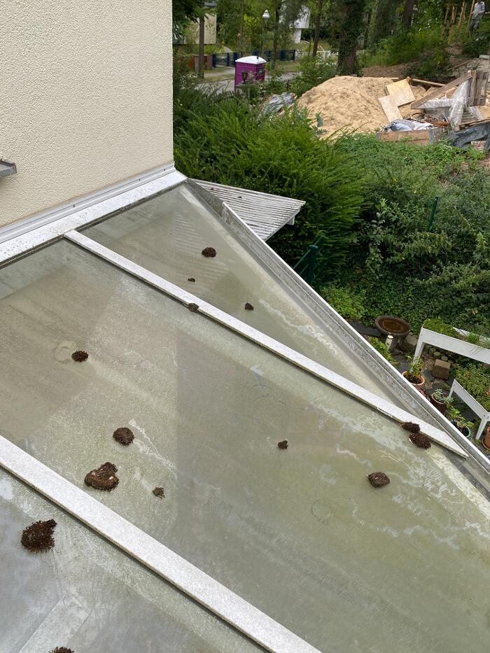 Bilder Merja Reinigung (Gebäudereinigung Merja)