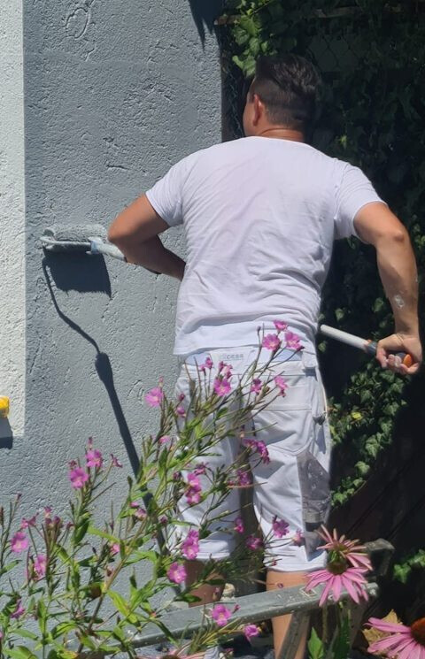 Bilder Malermeister Alex