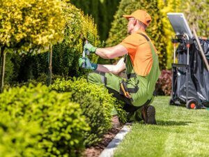 Bilder Vital & Mobil