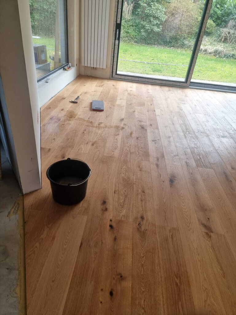 Bilder Stella-Dienstleistung-GmbH