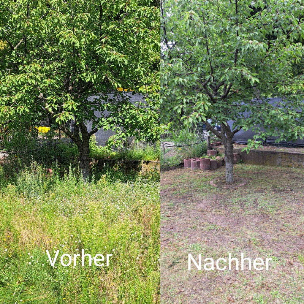 Bilder Armin Paul