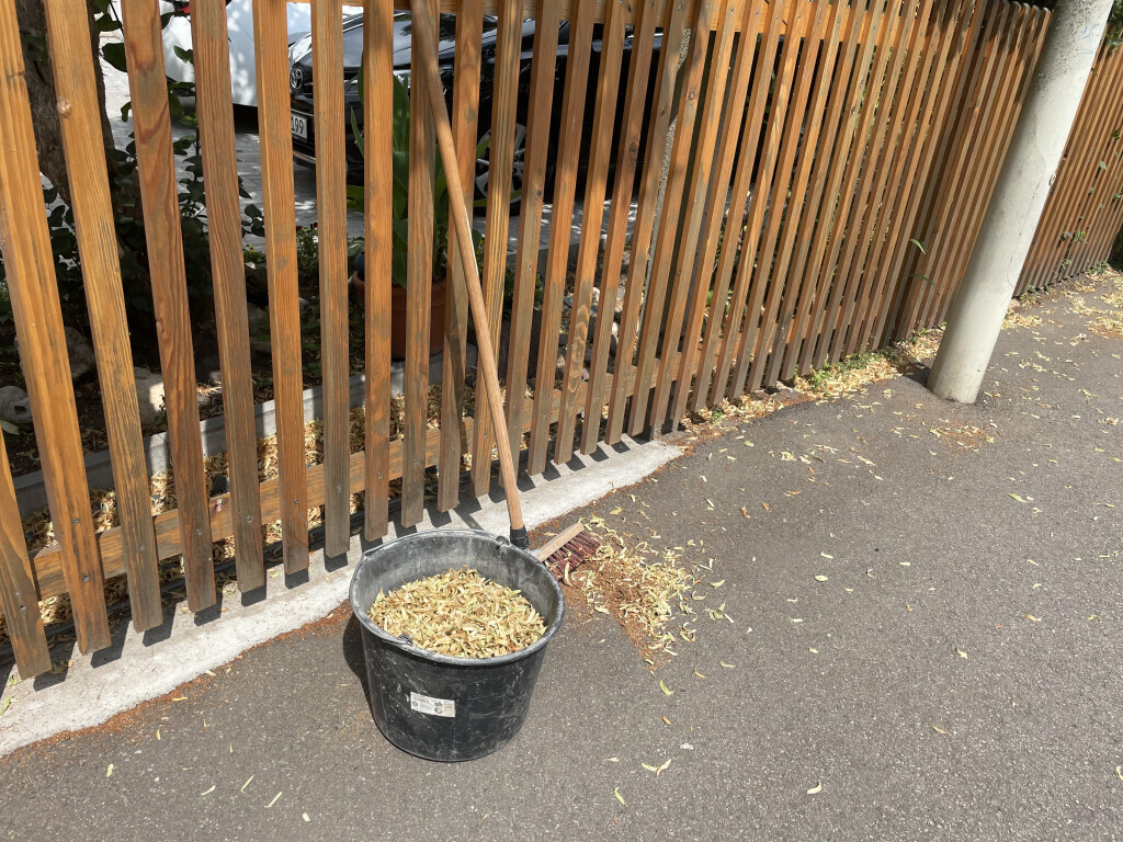 Bilder DR Hausmeister