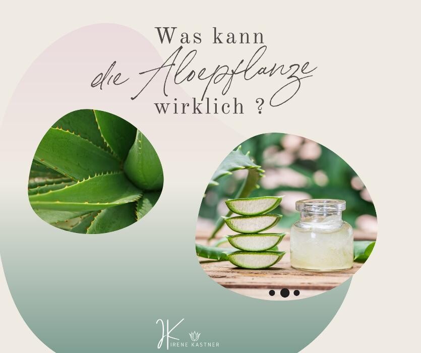 Bilder Forever Living Distributor Irene Kastner