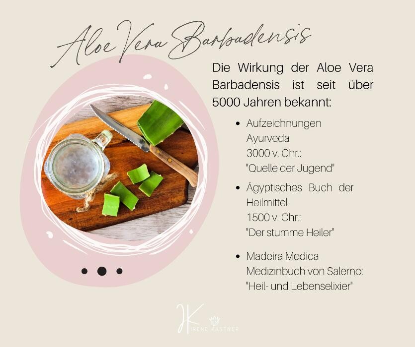 Bilder Forever Living Distributor Irene Kastner