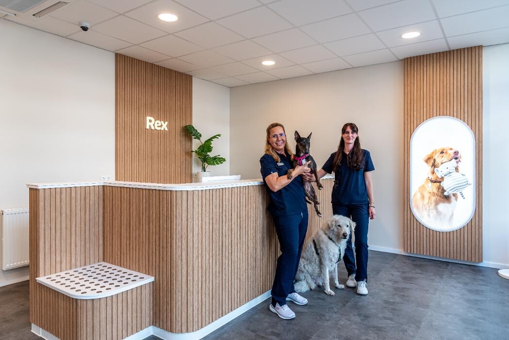 Bilder Rex Tierarztpraxis Frankfurt-Ostend