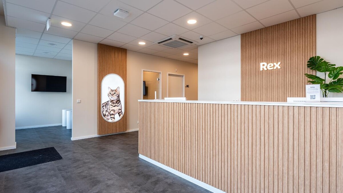 Bilder Rex Tierarztpraxis Frankfurt-Ostend