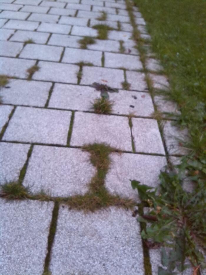 Bilder Sachverständigenbüro Jung