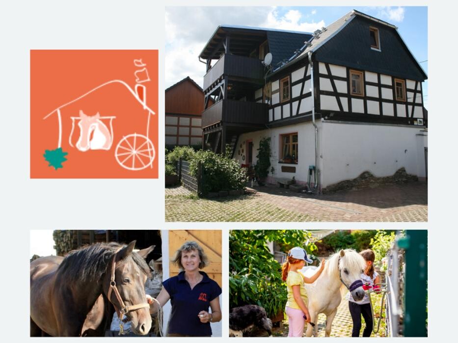 Bilder Pferd Spaß Entspannung - Anke Junghans