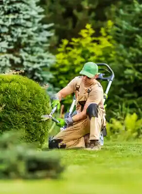 Bilder Qatani Garten- & Landschaftsbau