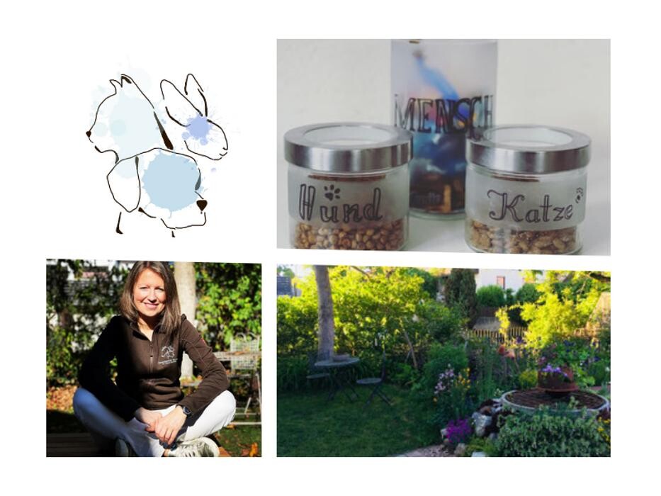 Bilder Tierarztpraxis Spreyer