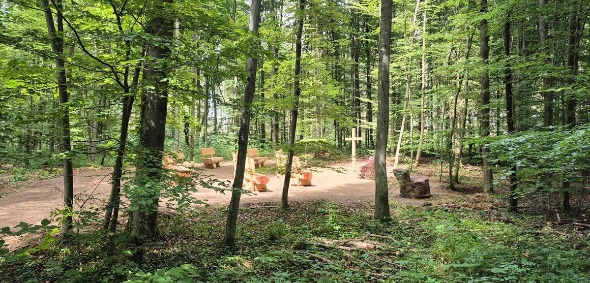 Bilder FriedWald Wiesenbach