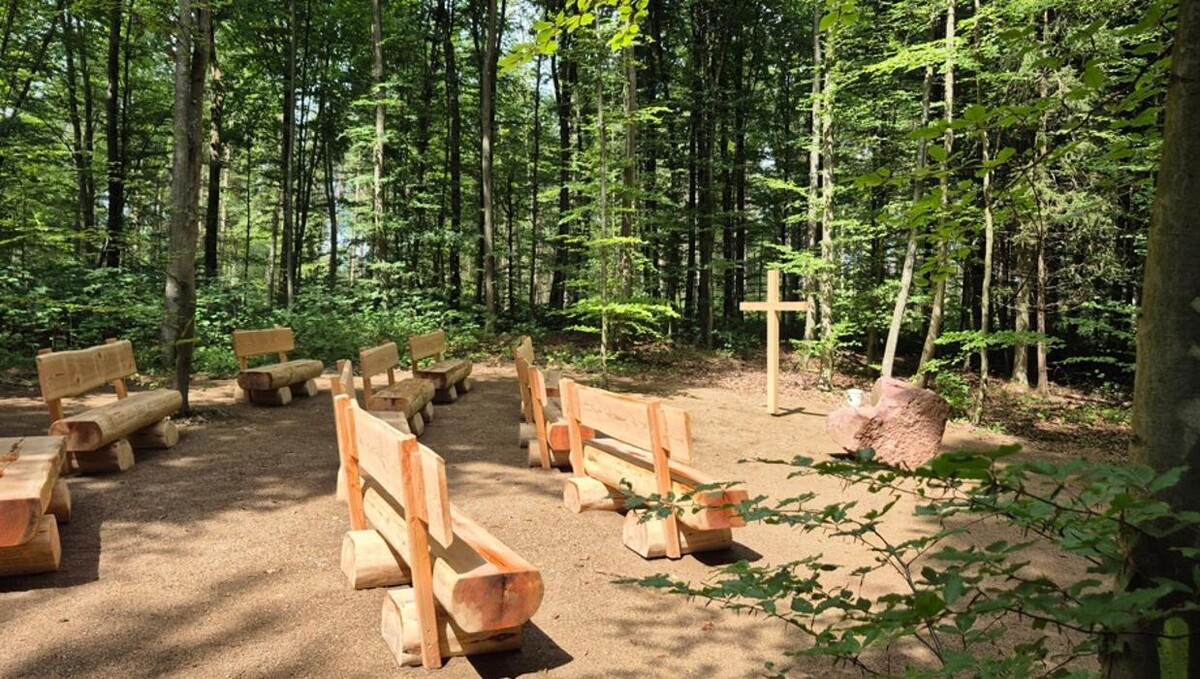 Bilder FriedWald Wiesenbach