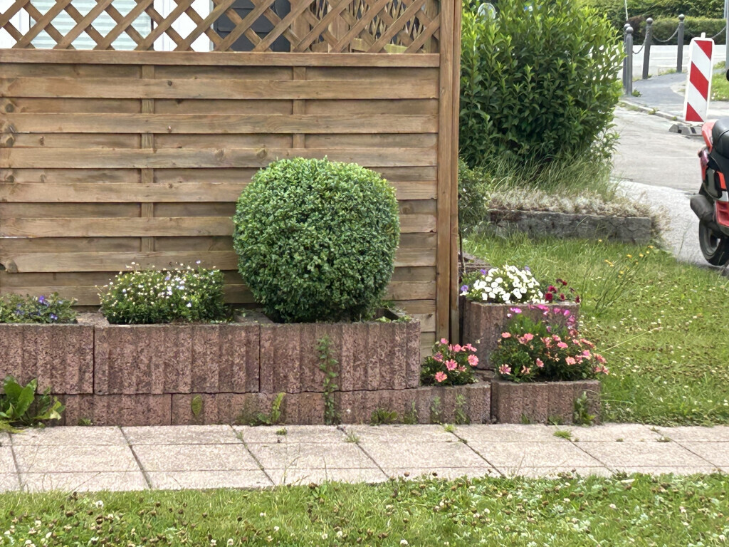 Bilder Alex Wunder Dienstleistungen