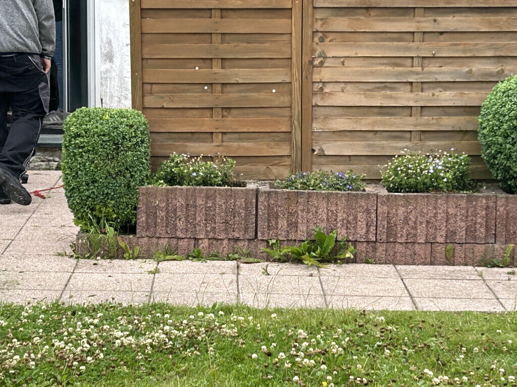 Bilder Alex Wunder Dienstleistungen