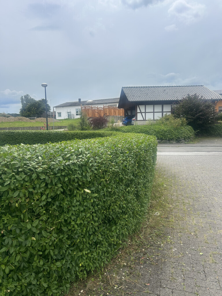 Bilder Alex Wunder Dienstleistungen