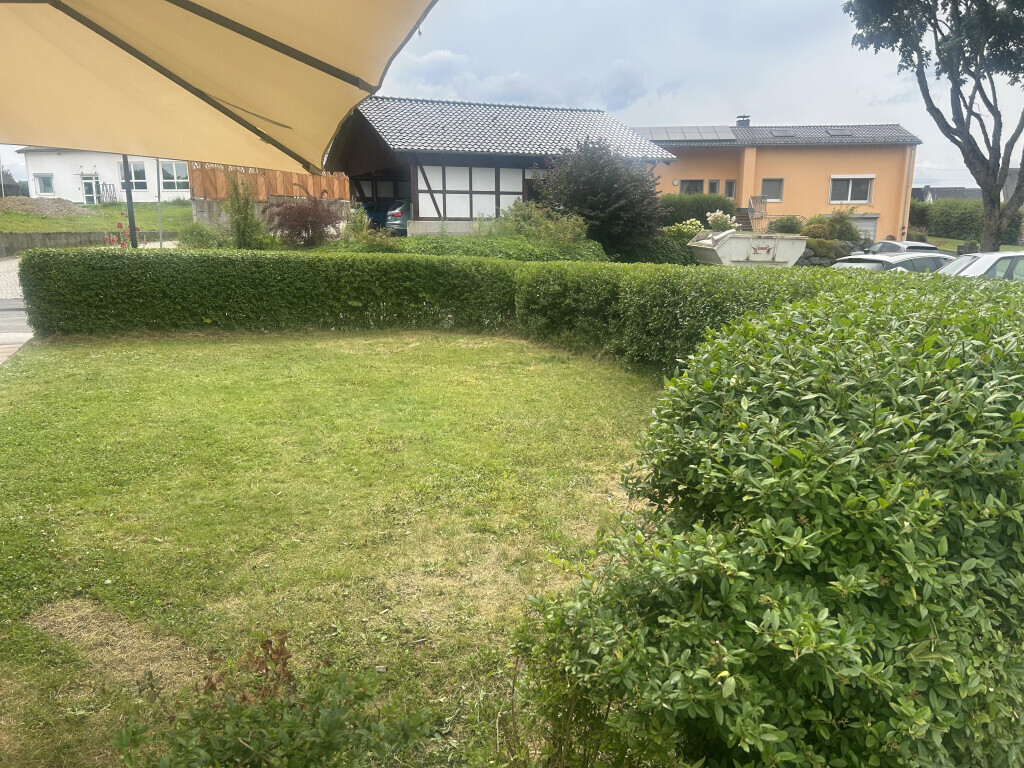 Bilder Alex Wunder Dienstleistungen