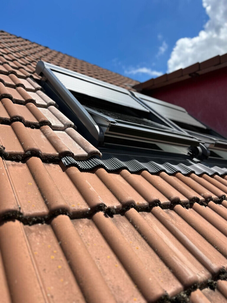 Bilder D.S. Rund ums Holz