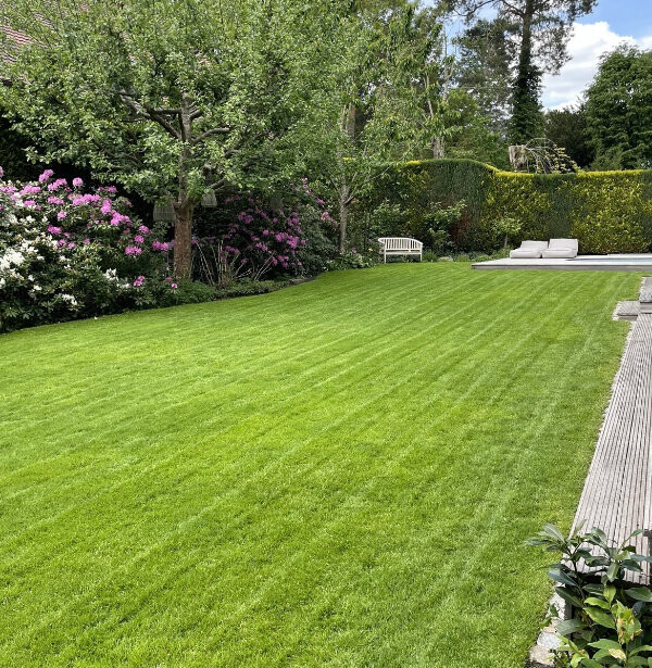 Bilder Baum- und Gartenpflege Schifelbein GmbH