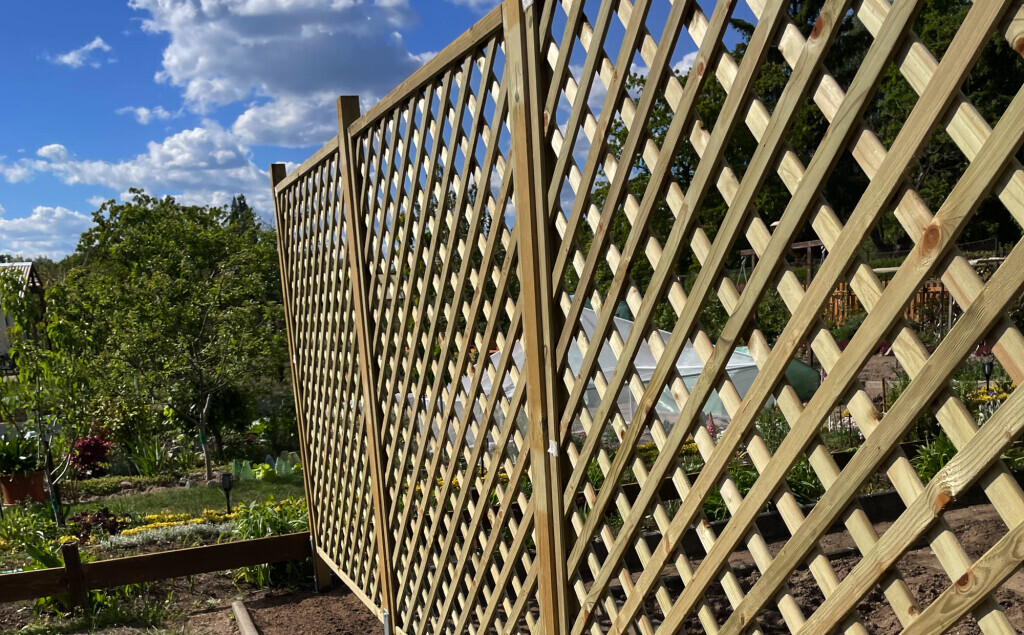 Bilder Baum- und Gartenpflege Schifelbein GmbH