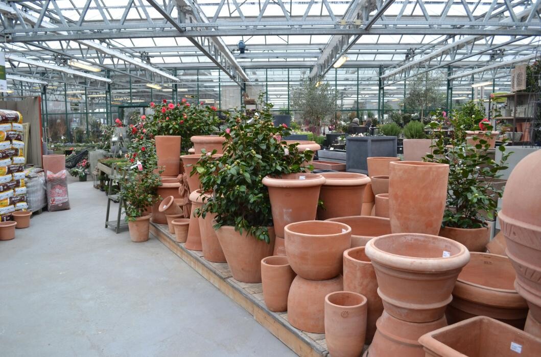 Bilder Geschwind Dietmar Gärtnerei Friedhofsgärtnerei Blumen