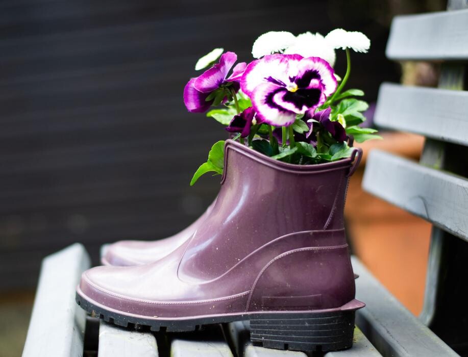 Bilder Geschwind Dietmar Gärtnerei Friedhofsgärtnerei Blumen