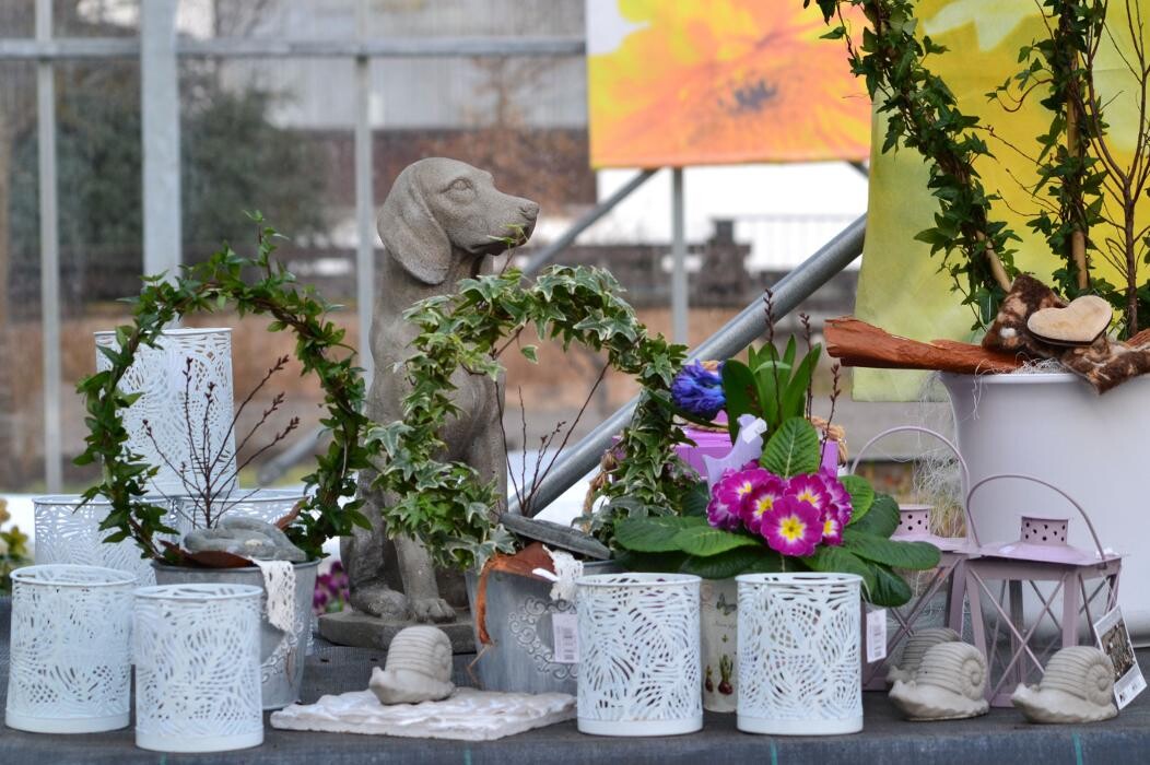 Bilder Geschwind Dietmar Gärtnerei Friedhofsgärtnerei Blumen