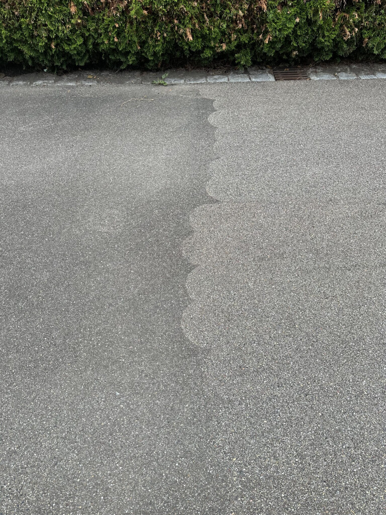 Bilder DG Hofservice