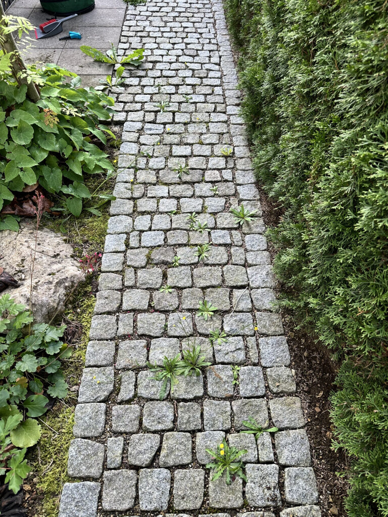 Bilder DG Hofservice