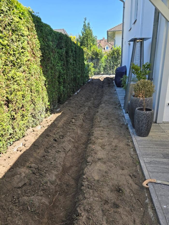 Bilder Jajan Gartenbau